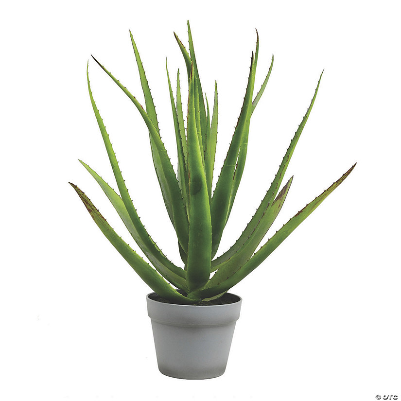 Vickerman 23" Artificial Green Aloe with 18 Leaves in Round Gray Pot Image