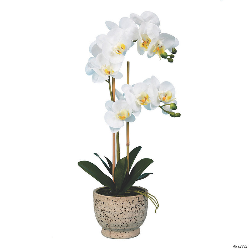 Vickerman 23" Artificial White Phalaenopsis In Pot, Real Touch Petals Image