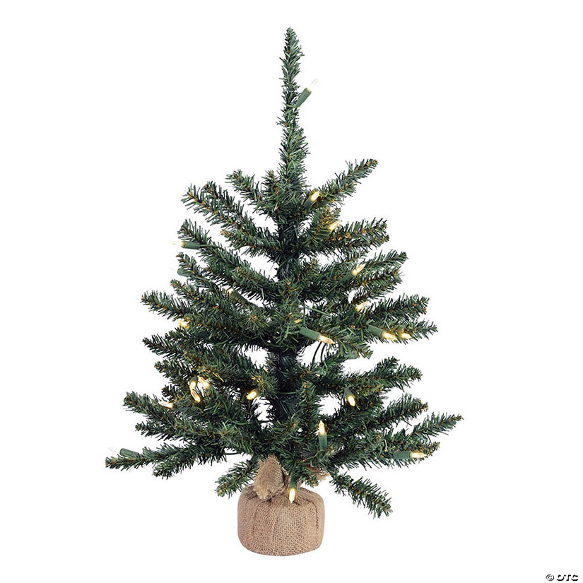 Vickerman 24" Anoka Pine Christmas Tree with Warm White LED Lights Image