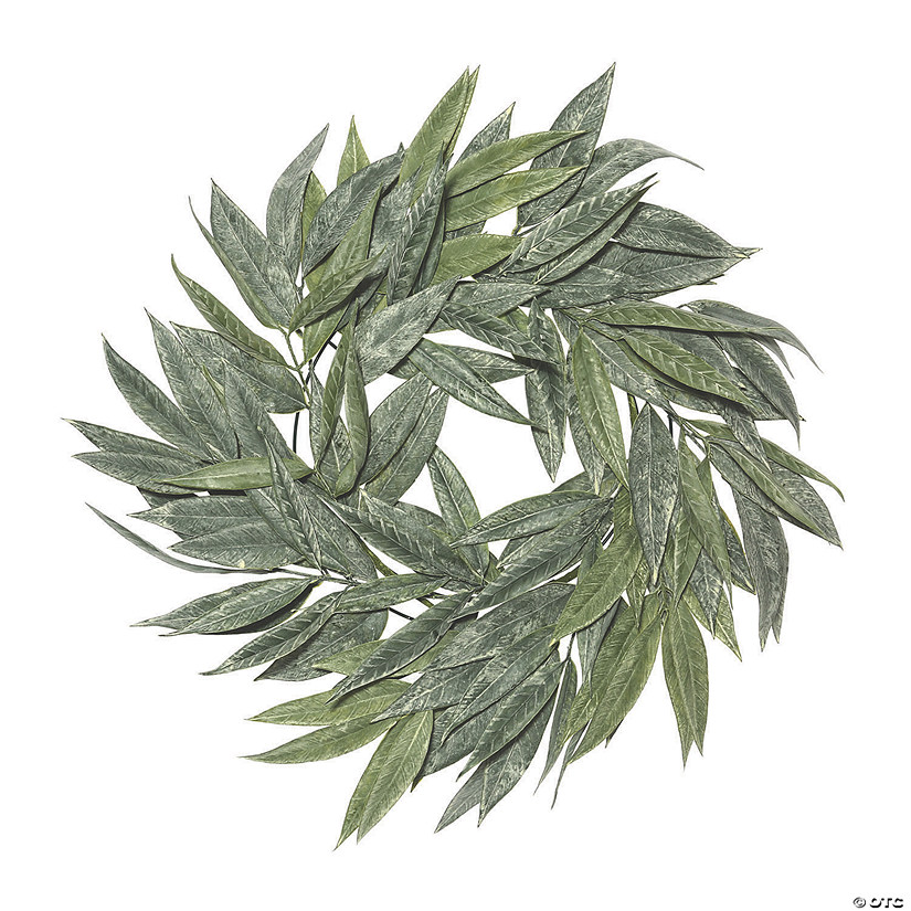 Vickerman 24" Artificial Green Muddy White Willow Wreath Image