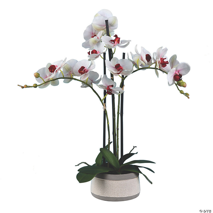 Vickerman 24" Artificial Pink Orchid in Ceramic Pot Image