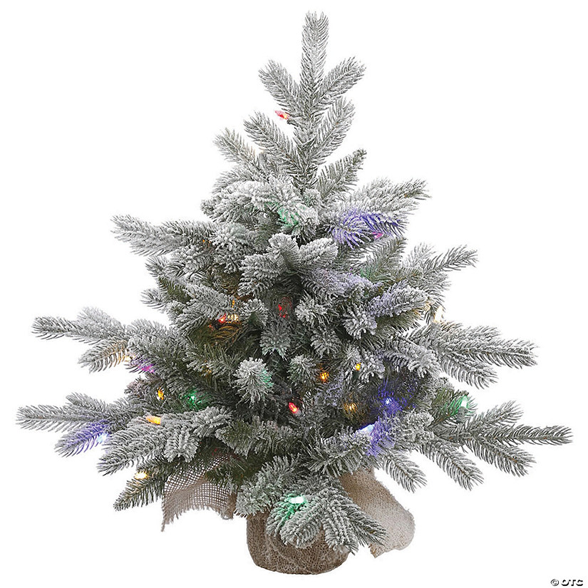 Vickerman 24" Frosted Sable Pine Christmas Tree with Multi-Colored LED Lights Image