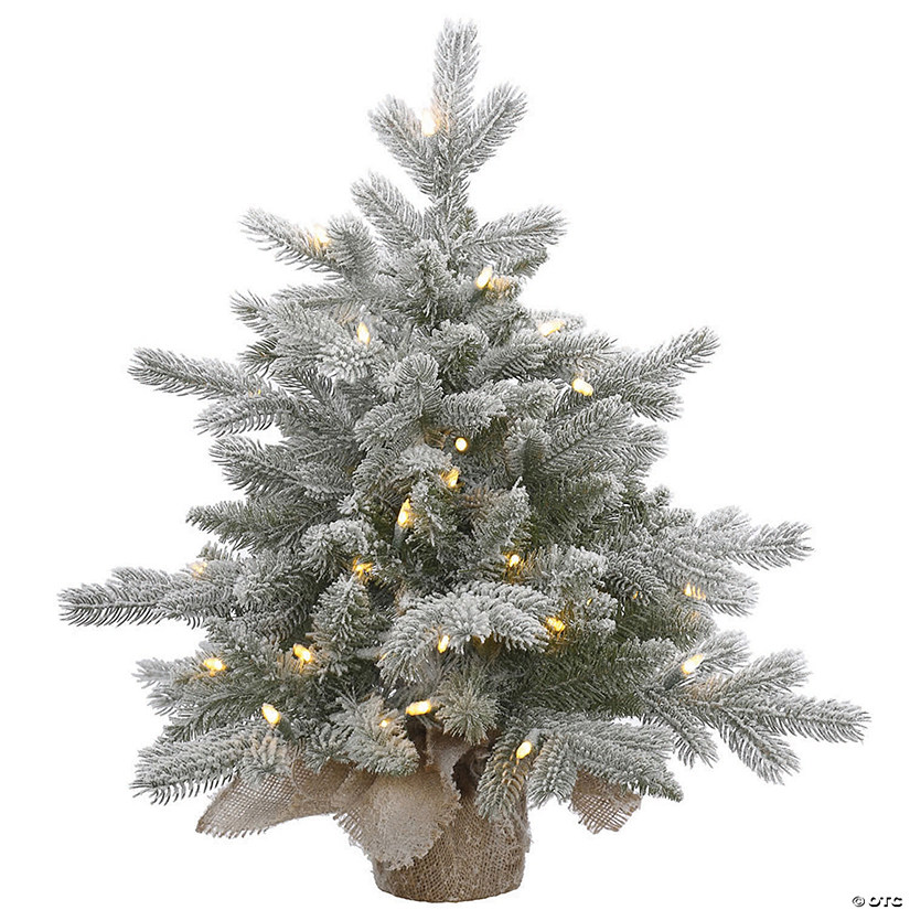 Vickerman 24" Frosted Sable Pine Christmas Tree with Warm White LED Lights Image