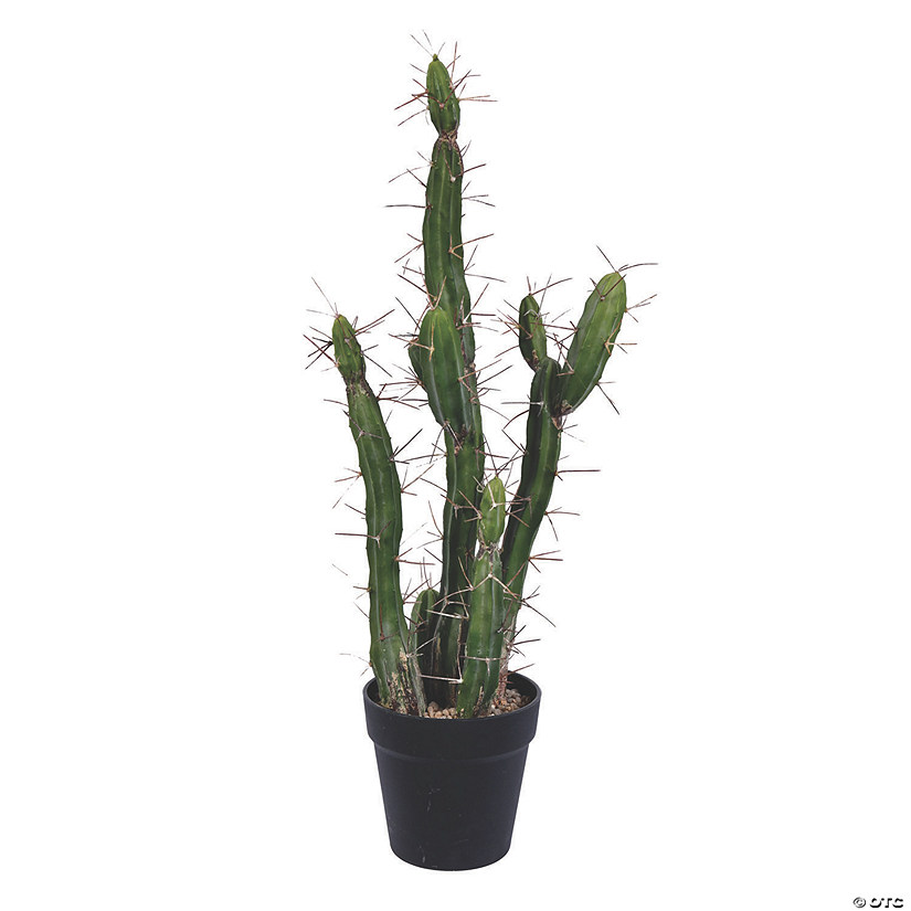 Vickerman 24" Green Cactus, comes in a Black Plastic Planters Pot Image