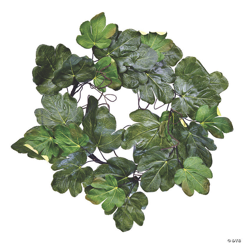 Vickerman 24" Green Fig Leaf Wreath Image