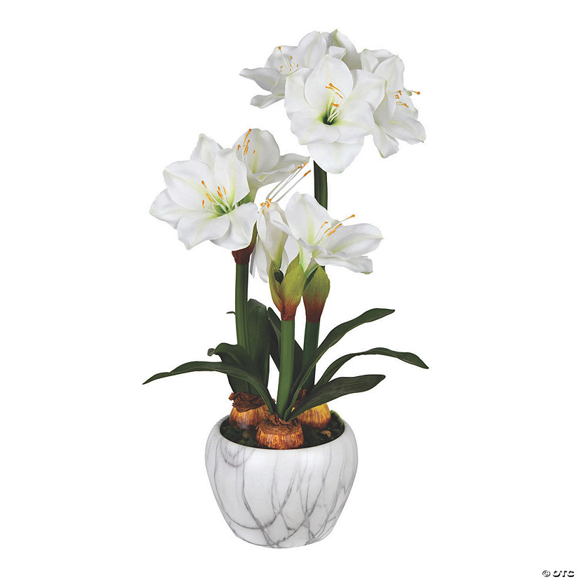 Vickerman 25" White Amaryllis Potted Floral Arrangement Image
