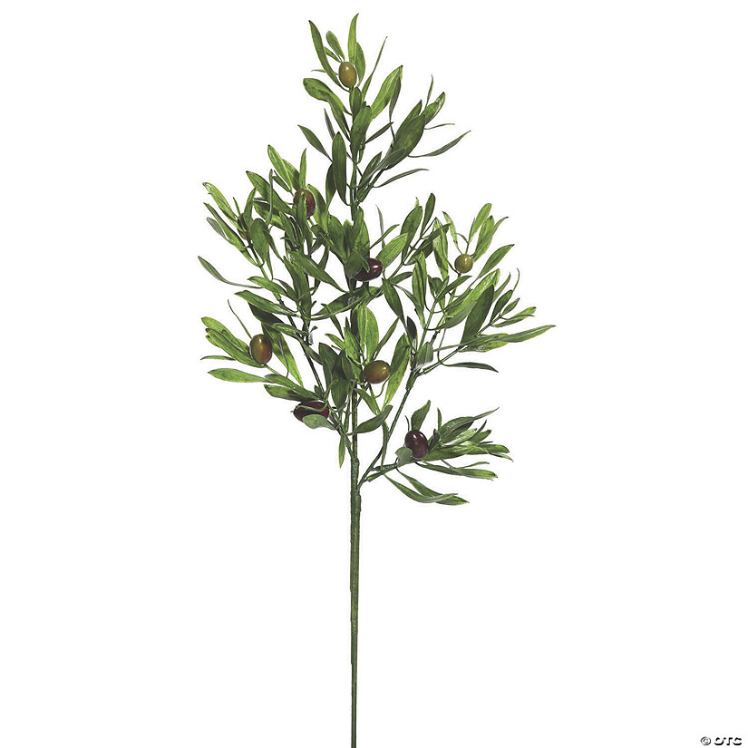 Vickerman 26" Artificial Green Olive Leaf Spray - 3/pk Image