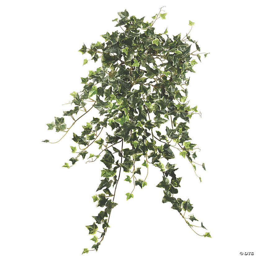 Vickerman 26" Artificial Variegated Mini Ivy Hanging Bush Image