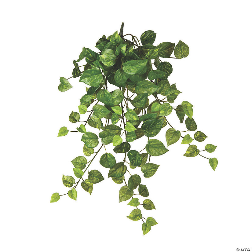 Vickerman 28" Pothos Hanging Bush Image