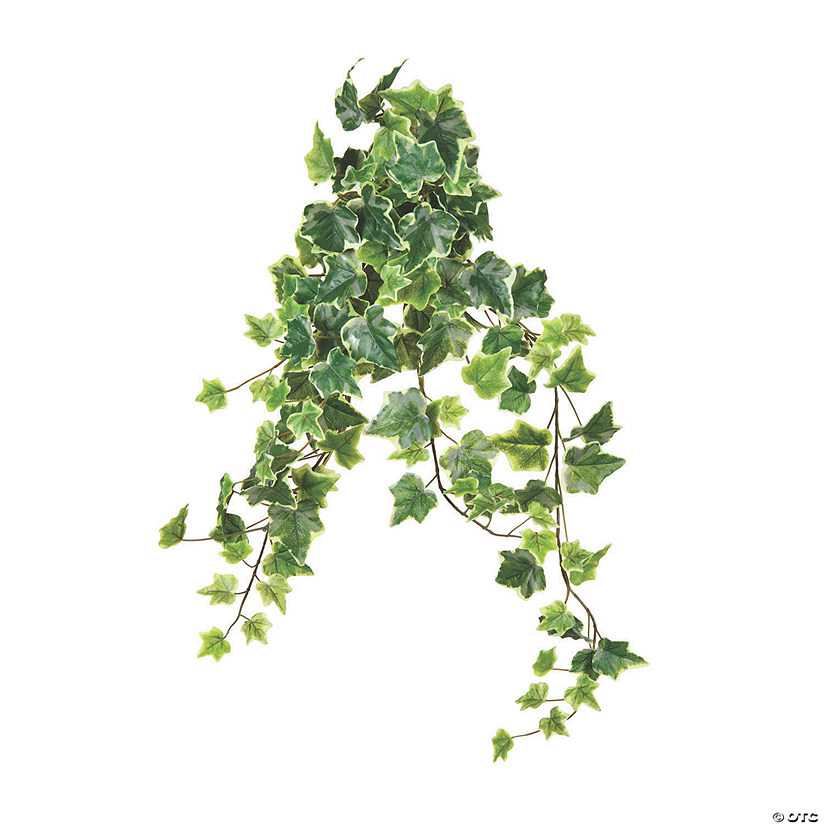 Vickerman 28" Varigated Ivy Hanging Bush Image