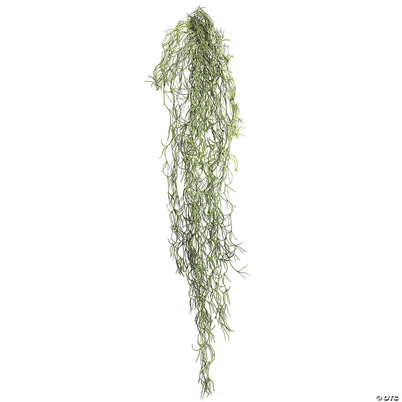 Vickerman 29.5" Artificial Green Tillandsia Root, Set of 3 Image