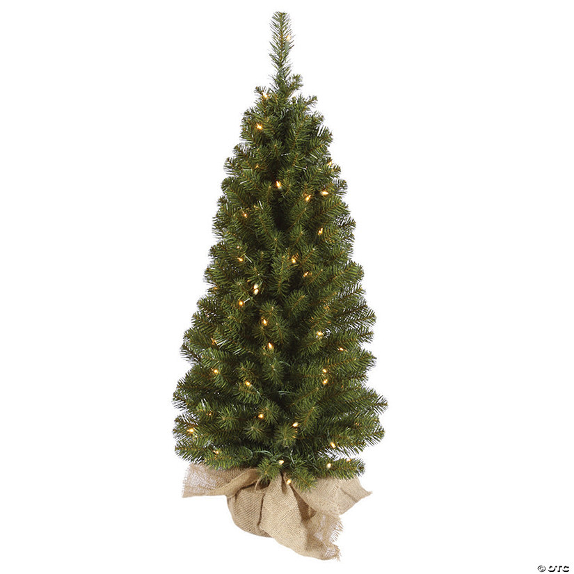 Vickerman 3.5' Felton Pine Christmas Tree with Clear Lights Image