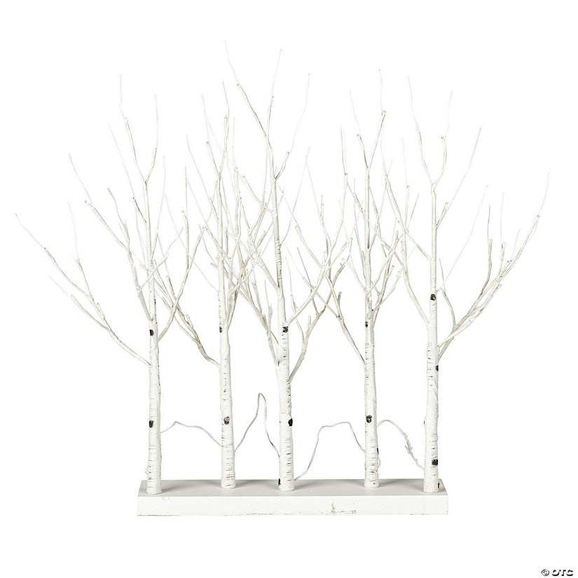 Vickerman 30" White Birch Twig Tree Grove, Warm White 3mm Wide Angle LED lights, 5 Piece Set. Image