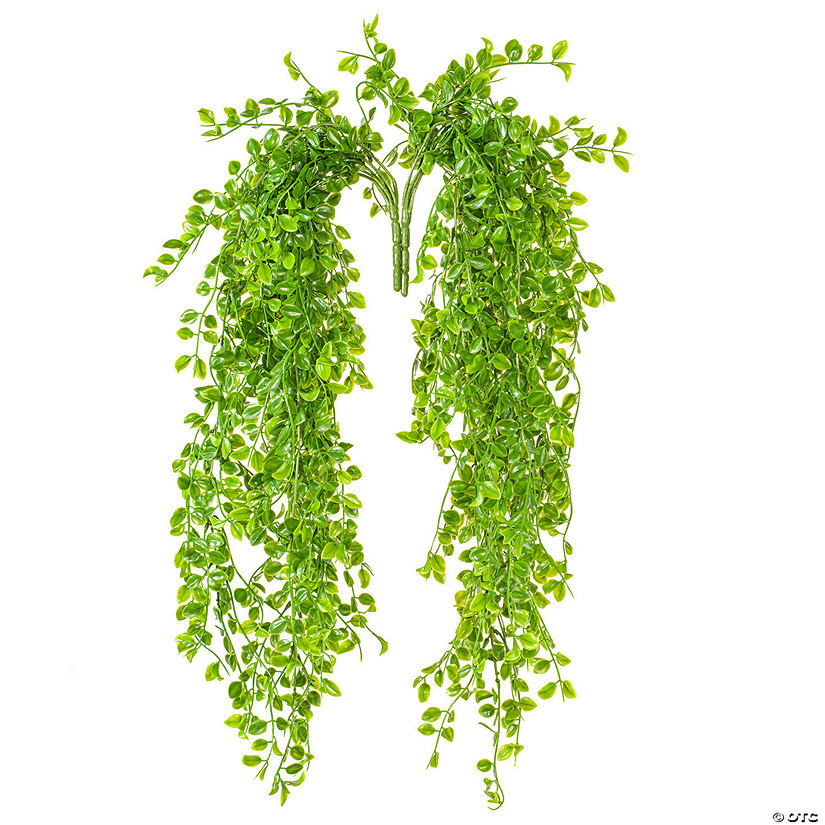 Vickerman 31" Artificial Green Mini Leaf Hanging Bush - 2/pk Image