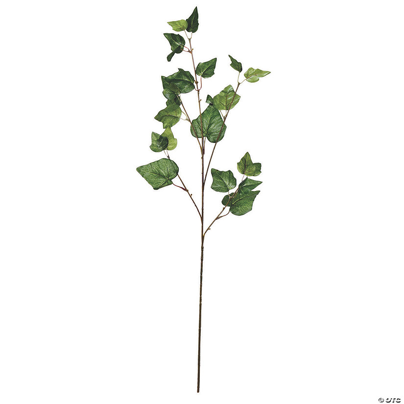 Vickerman 32" Artificial Green Ivy Spray - 3/pk Image