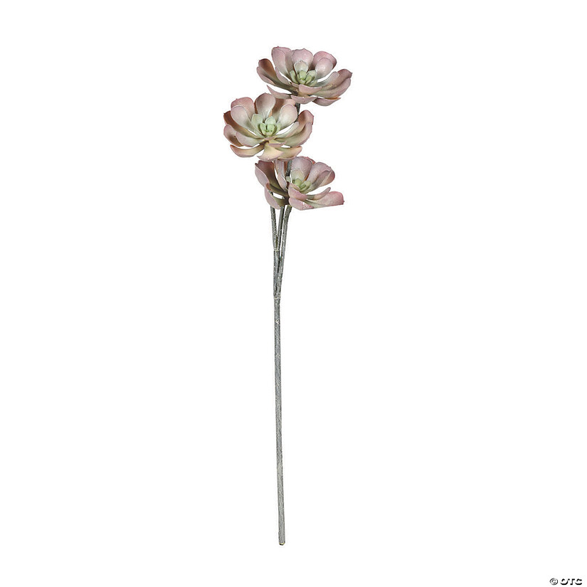 Vickerman 34" Artificial Brown Peperomia Succulent Image