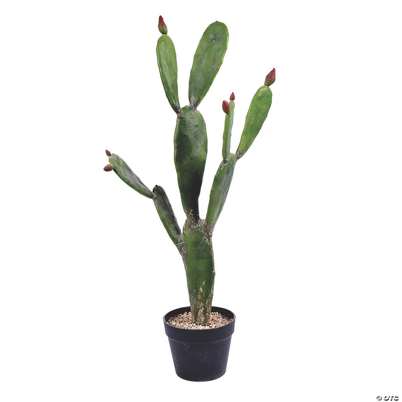 Vickerman 34" Green Cactus in Black Plastic Planters Pot Image