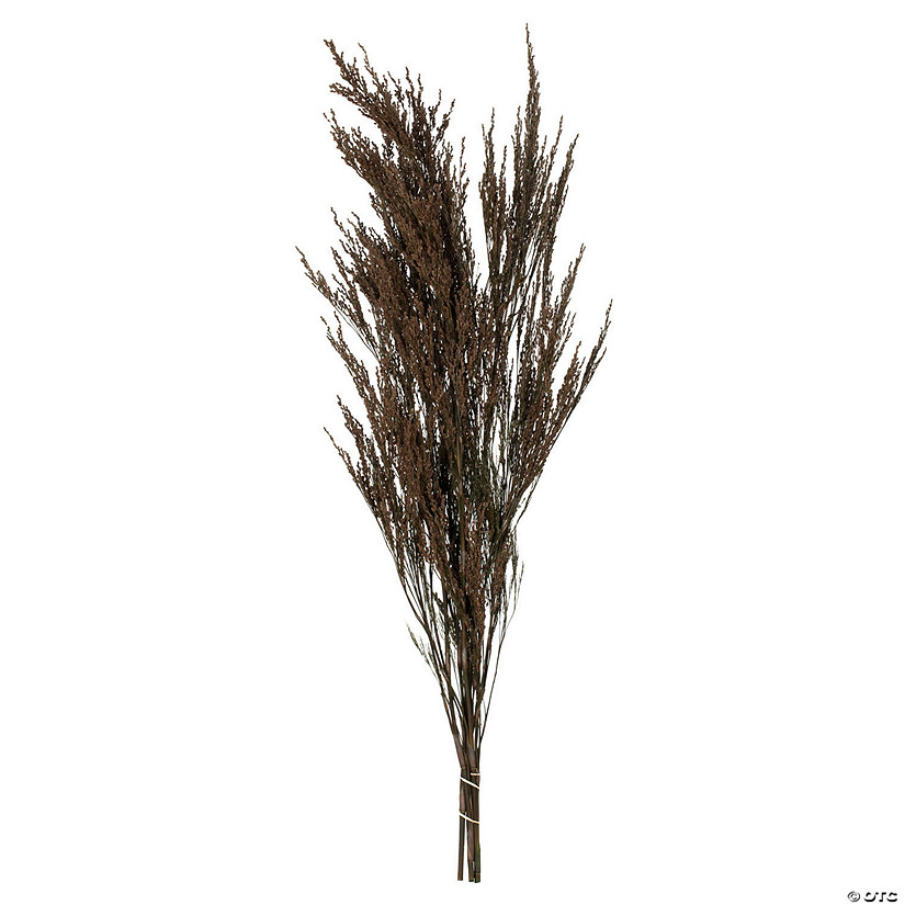 Vickerman 36-40" Green Reed Grass -Includes 8-9 oz per Bundle. Preserved Image