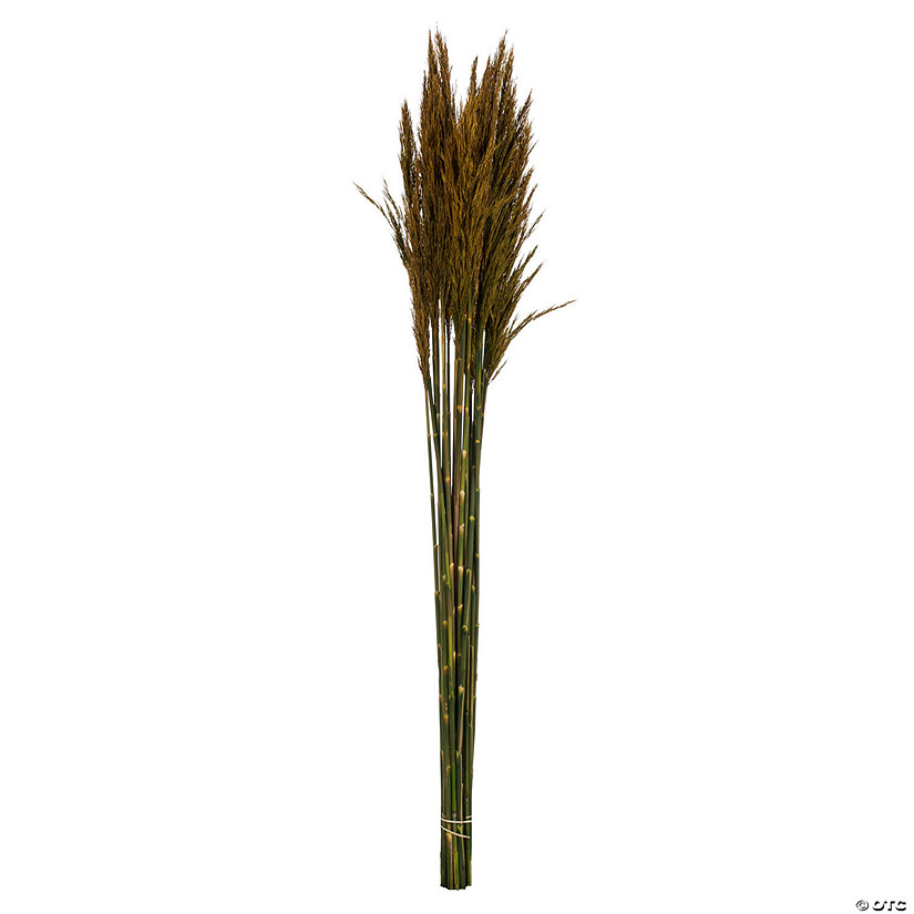 Vickerman 36" Aspen Gold Plume Reed Bundle (15-20 stems), Preserved Image