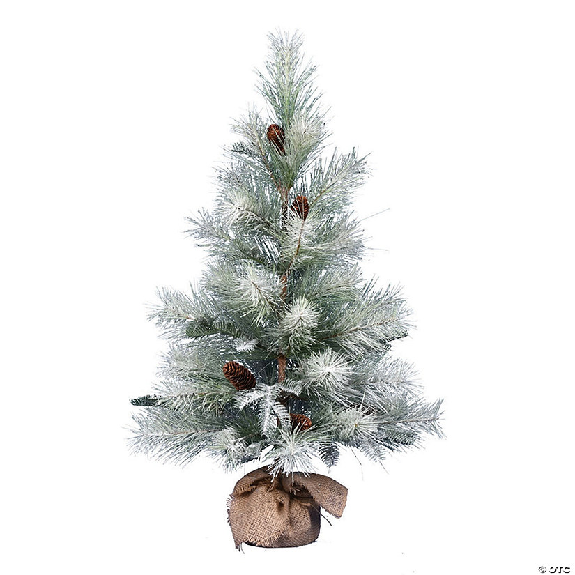 Vickerman 36" Frosted Ansell Pine Tree Image