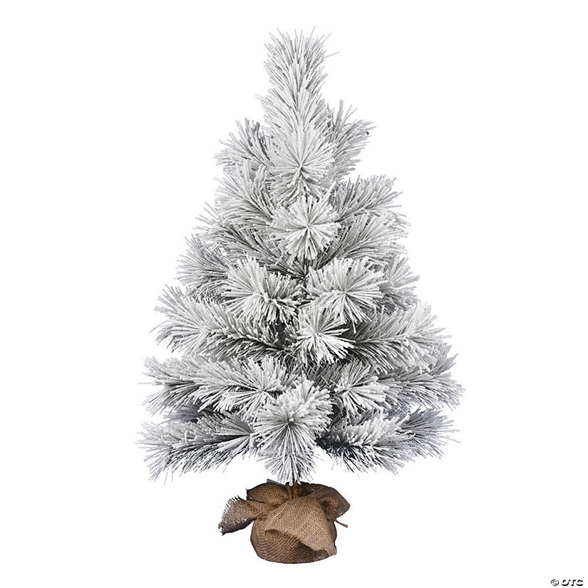 Vickerman 36" Frosted Beckett Pine Tree Image