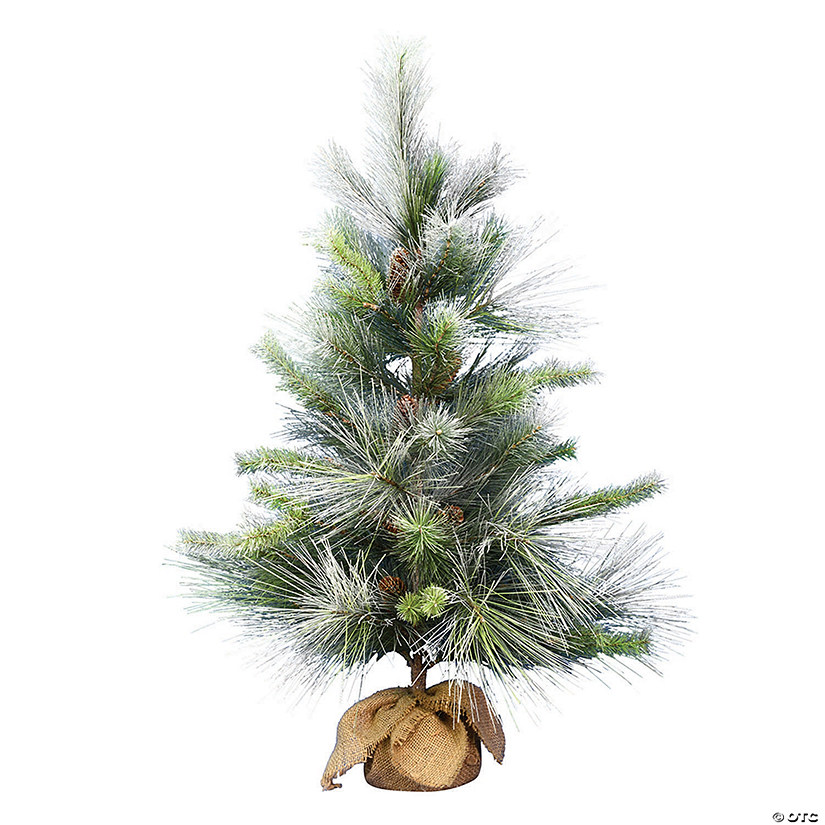 Vickerman 36" Frosted Myers Pine Tree Image