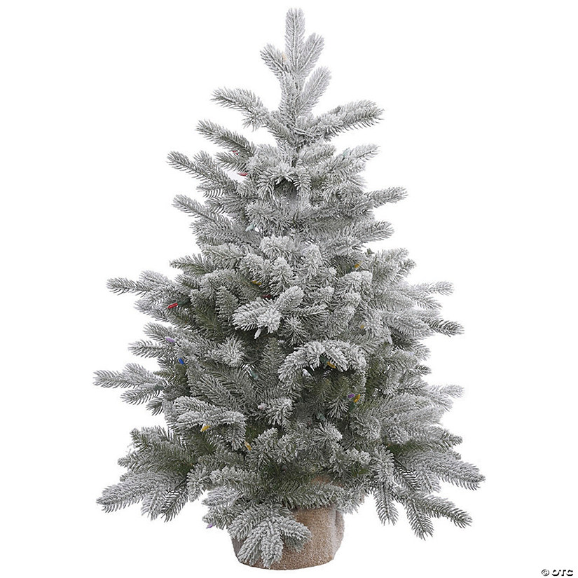 Vickerman 36" Frosted Sable Pine Christmas Tree - Unlit Image