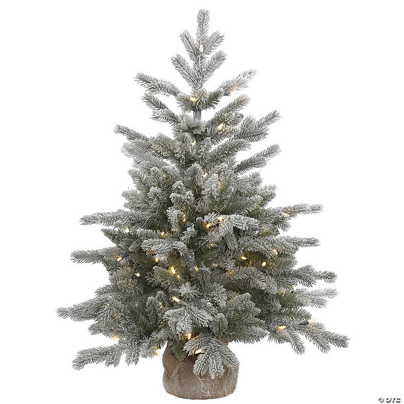 Vickerman 36" Frosted Sable Pine Christmas Tree with Warm White LED Lights Image