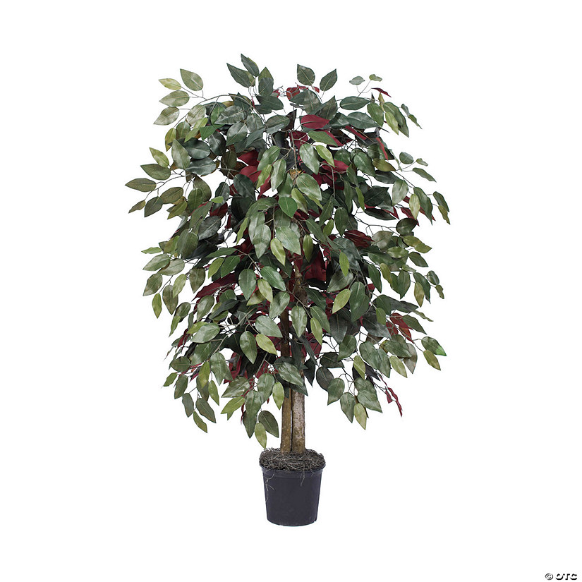 Vickerman 4' Artificial Capensia Bush, Black Plastic Pot. Image