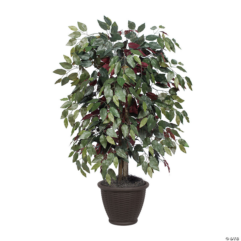 Vickerman 4' Artificial Capensia Bush, Brown Plastic Container Image
