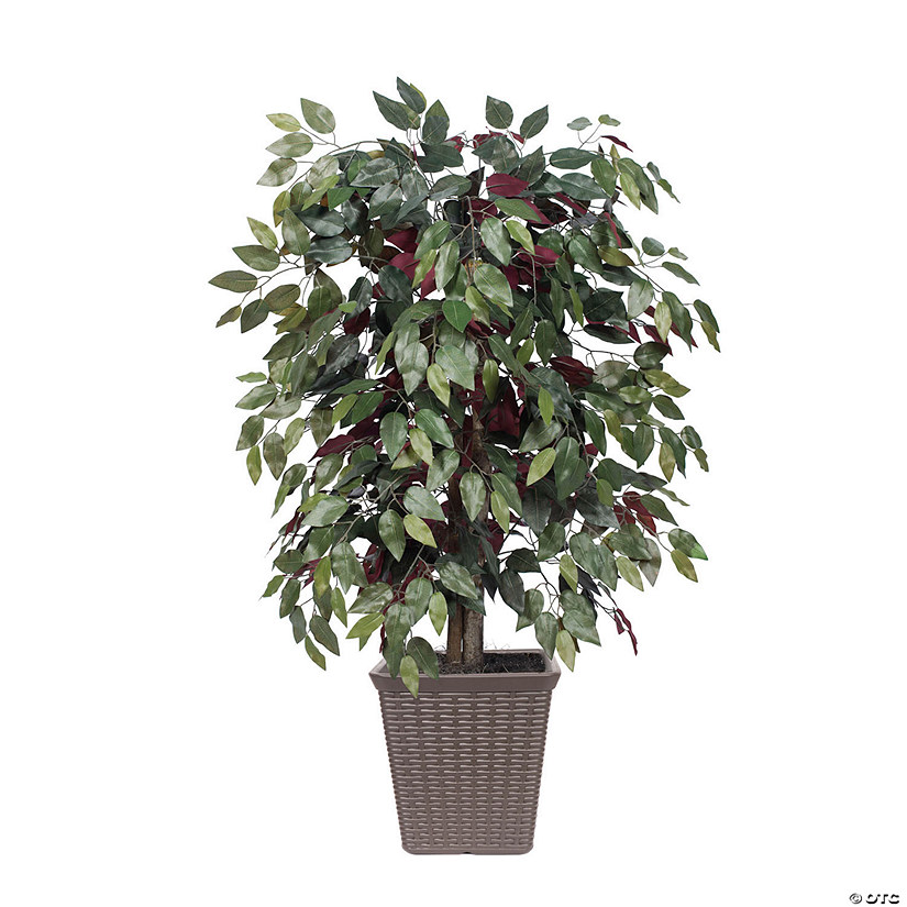 Vickerman 4' Artificial Capensia Bush, Brown Square Plastic Basket. Image