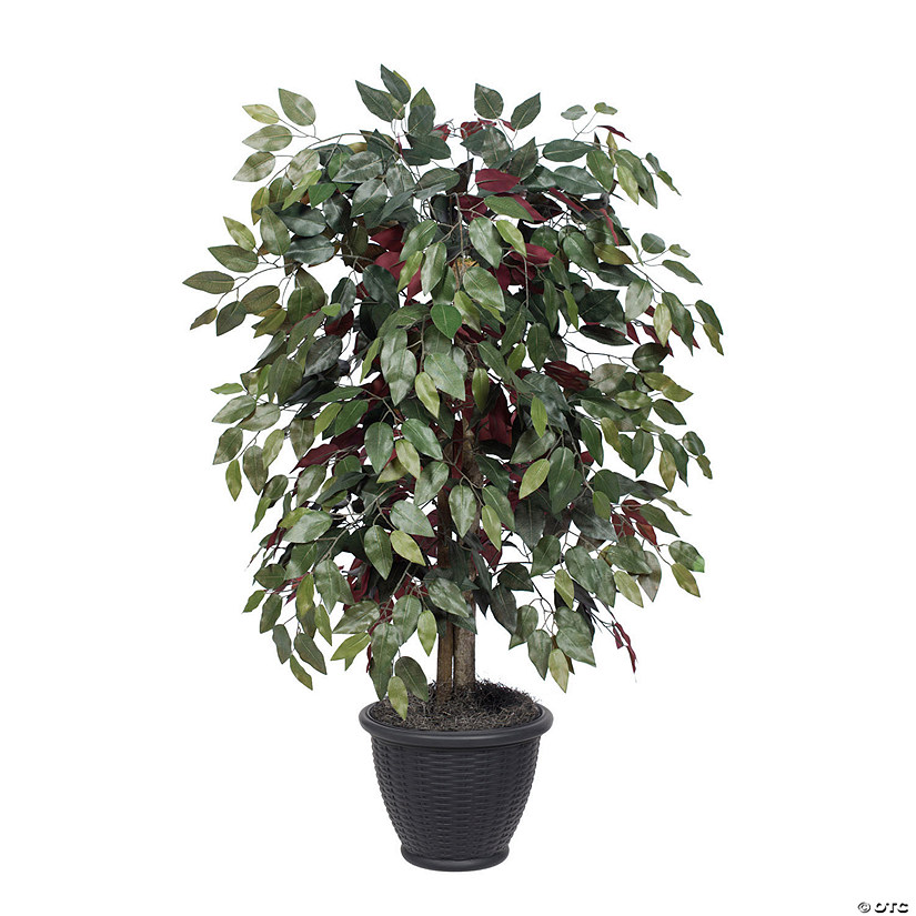 Vickerman 4' Artificial Capensia Bush, Gray Plastic Container Image