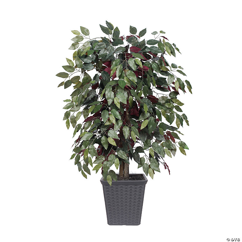 Vickerman 4' Artificial Capensia Bush, Gray Square Plastic Container Image