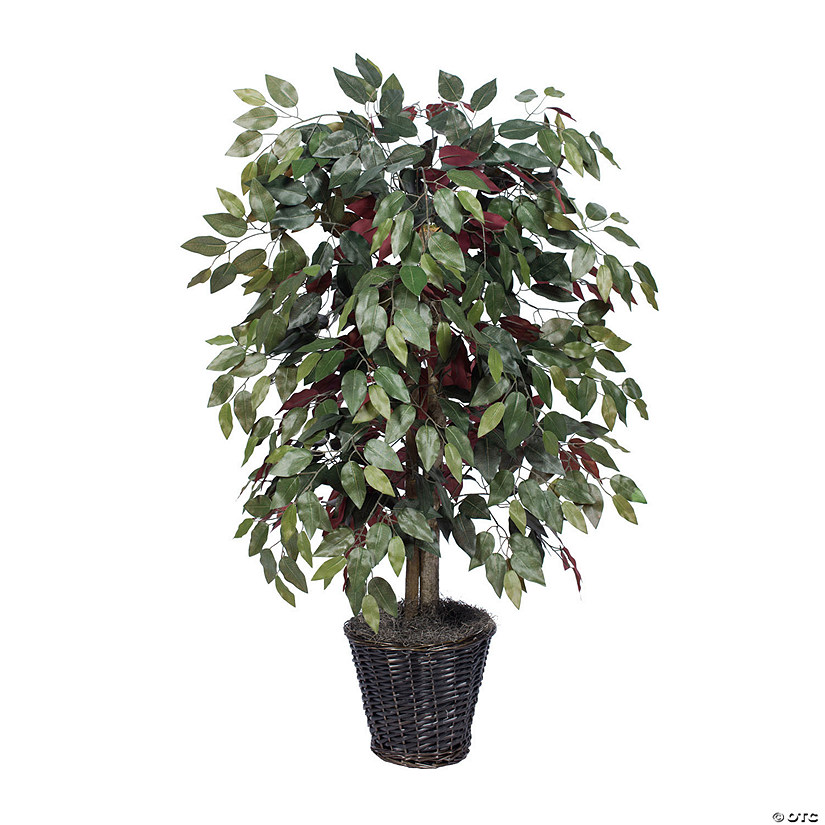 Vickerman 4' Artificial Capensia Bush, Rattan Basket Image
