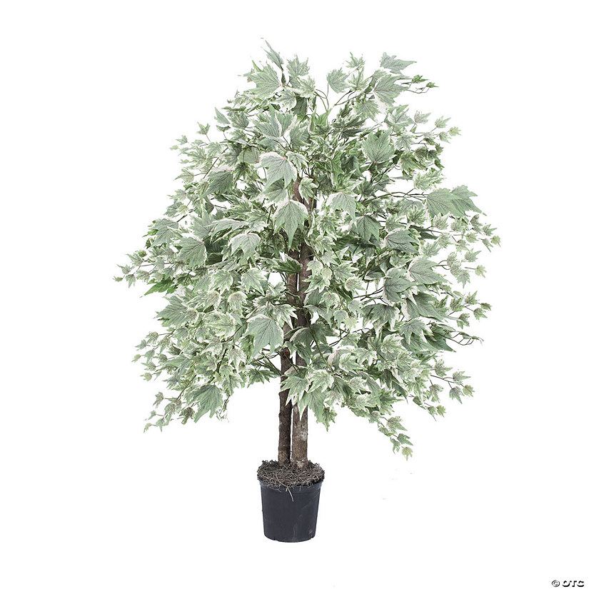 Vickerman 4' Artificial Frosted Maple Bush, Black Plastic Pot Image