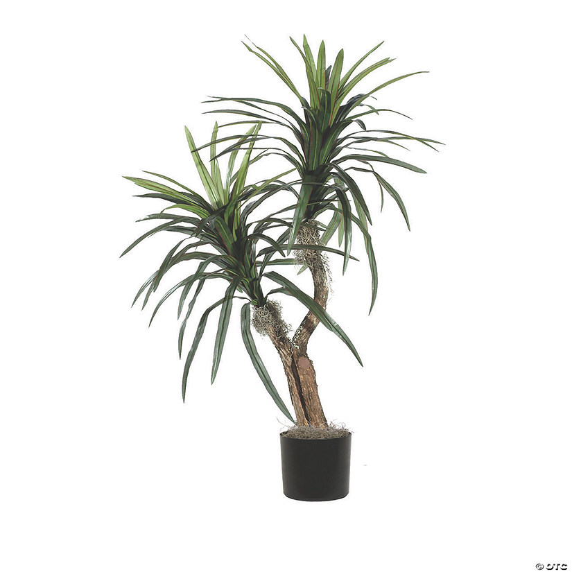 Vickerman 4' Artificial Marginata Bush in Black Pot Image