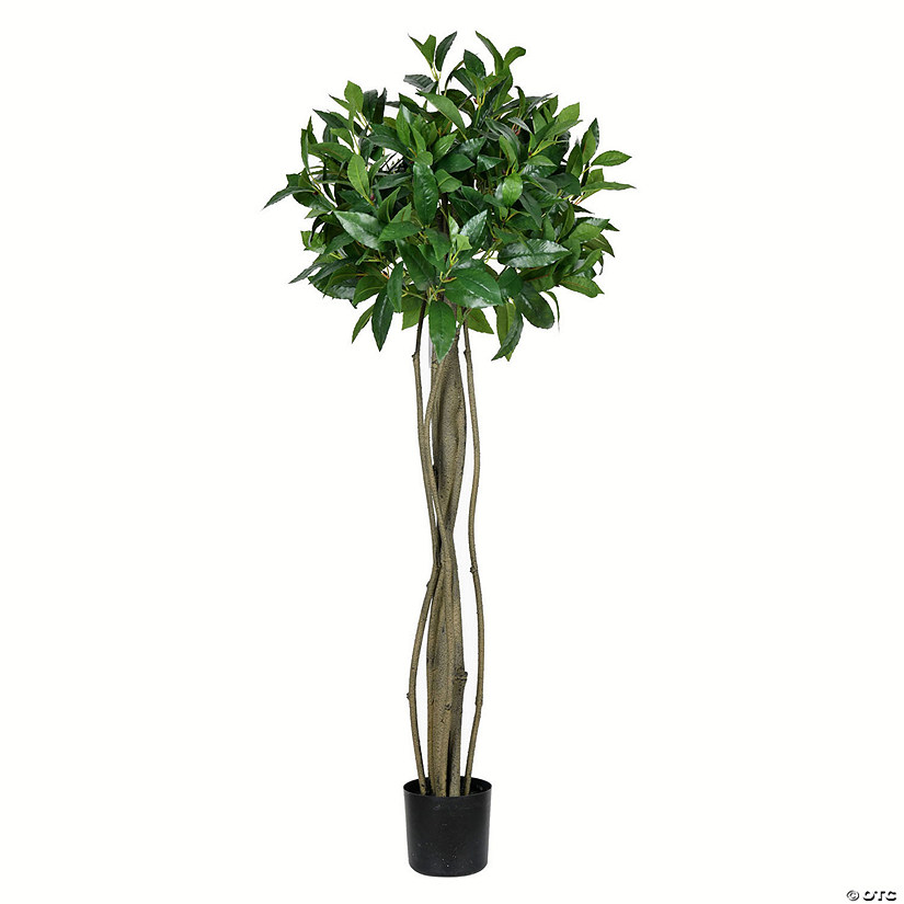 Vickerman 4'  Artificial Potted Bay Leaf Topiary Image