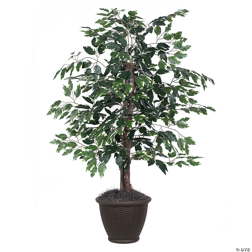 Vickerman 4' Artificial Variegated Ficus Bush, Brown Plastic Container. Image