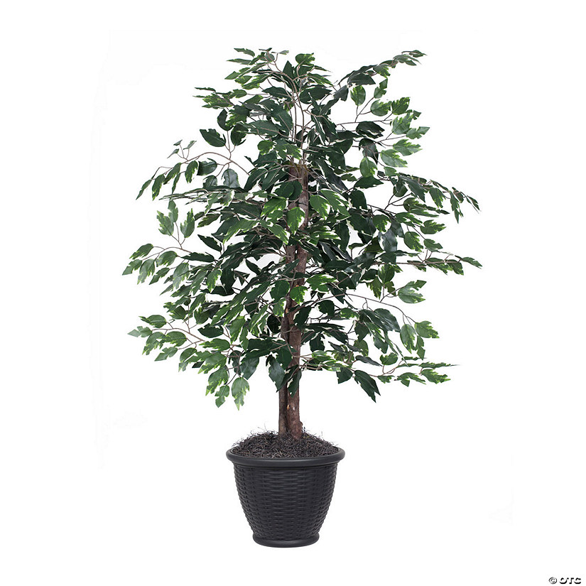 Vickerman 4' Artificial Variegated Ficus Bush, Gray Plastic Container Image