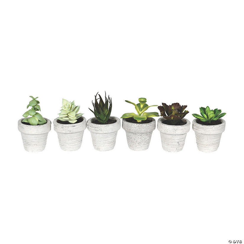 Vickerman 4" Assorted Potted Succulents - 6/pk Image