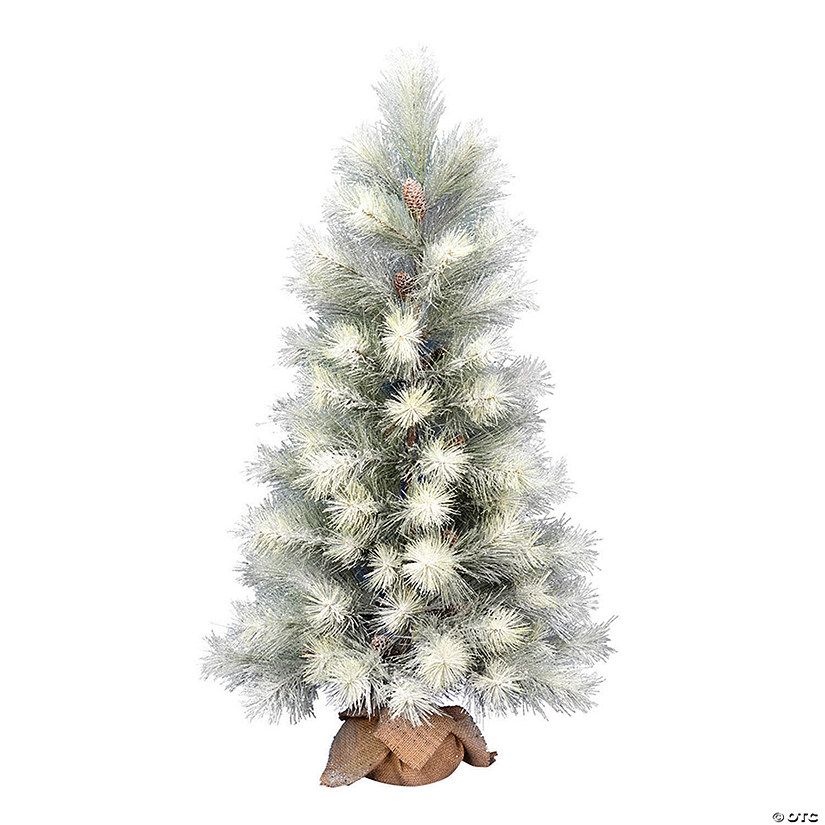 Vickerman 4' Norfolk Frosted Artificial Pine Christmas Tree, Unlit Image