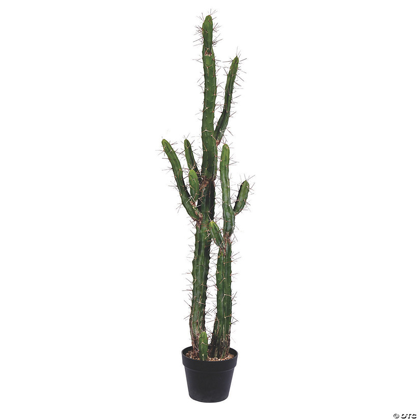 Vickerman 46" Green Cactus in Black Plastic Planters Pot Image