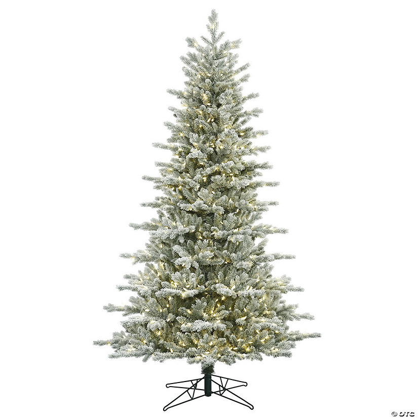 Vickerman 5.5' Frosted Eastern Fraser Fir Artificial Christmas Tree, Warm White Dura-lit LED Lights Image