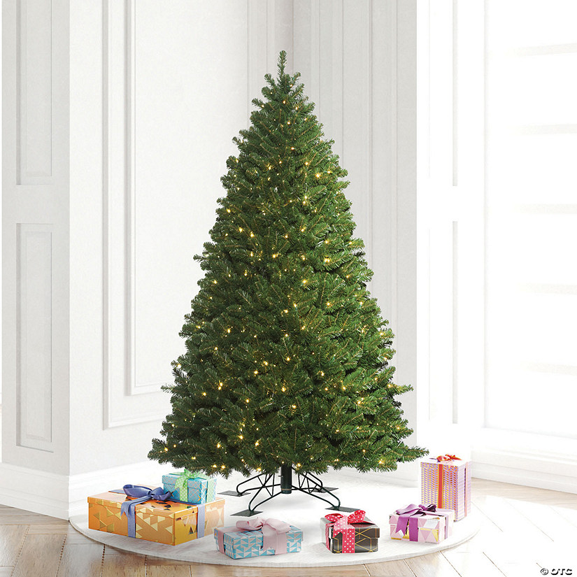 Vickerman 5.5' Oregon Fir Outdoor Artificial Christmas Tree,  Warm White Wide Angle LED Lights Image