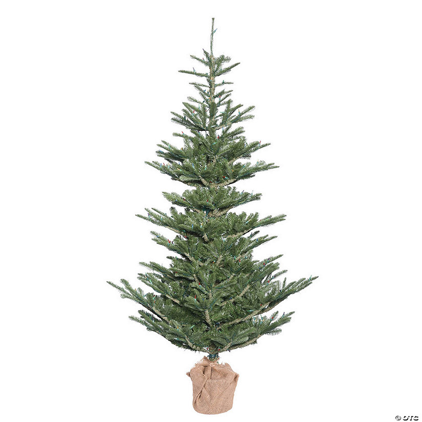 Vickerman 5' Alberta Spruce Artificial Christmas Tree, Unlit Image