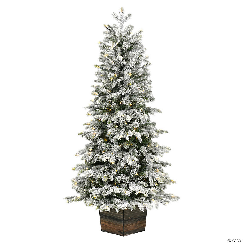 Vickerman 5' Frosted  Wendell Slim Potted Pine Artificial Christmas Tree, Warm White Dura-lit LED Lights Image