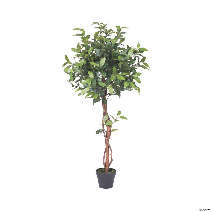 Vickerman 50" Artificial Camellia Tree in Pot Image