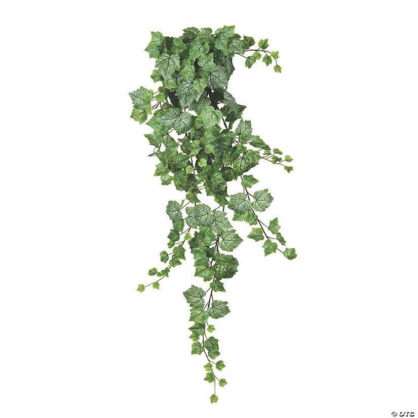 Vickerman 51" Green & White Grape Leaf Ivy Hanging Bush Image