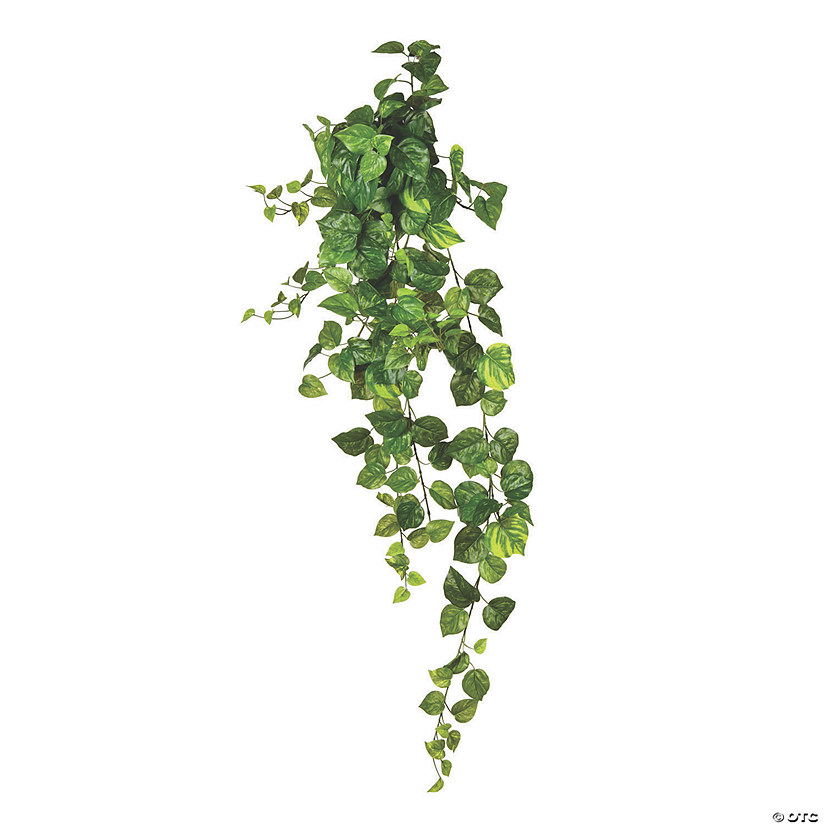 Vickerman 51" Pothos Hanging Bush Image