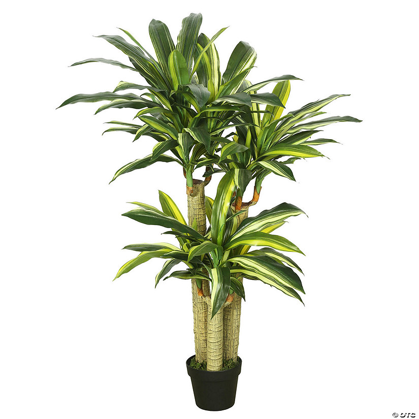 Vickerman 52" Artificial Green and Yellow Real Touch Dracaena Tree Image